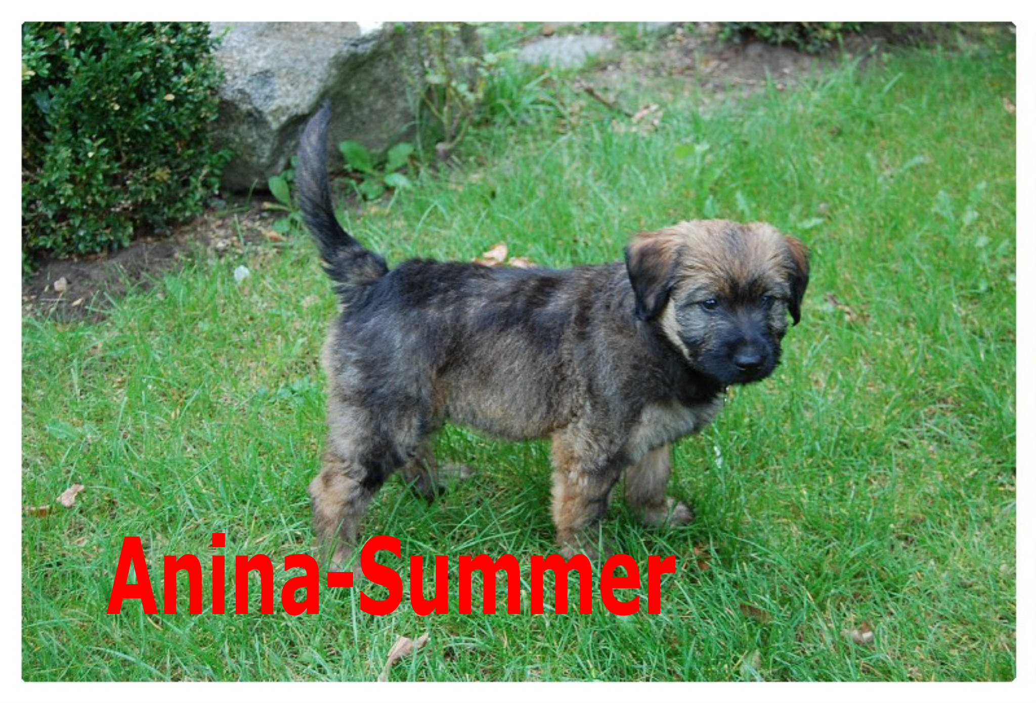 Anina_Summer030_8_wo_name_800