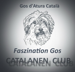 Logo-CC-300-XXX