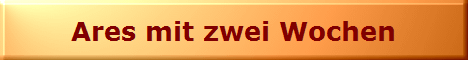 Ares mit zwei Wochen