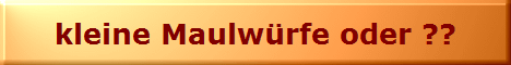 kleine Maulwrfe oder ??