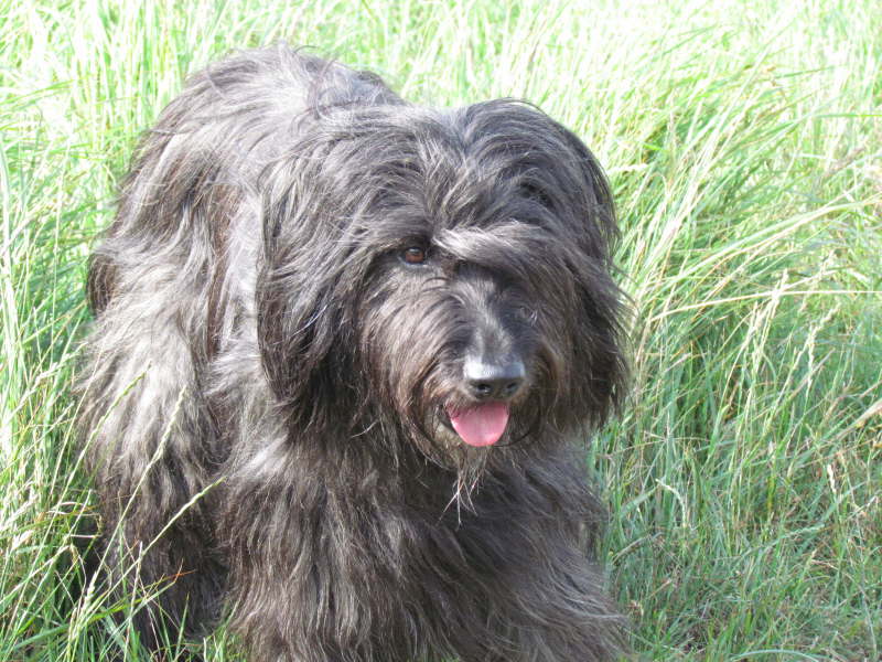 Benga Aurelia Juni 2013