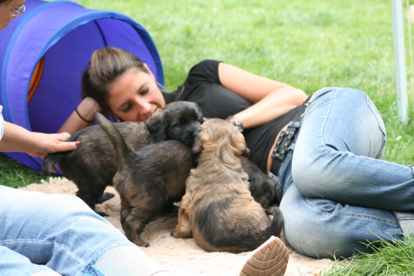 Besuch von Erwachsenen